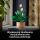 LEGO BOTANICALS 11504 Skrzydłokwiat - 1473410 - zdjęcie 8